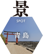 スポット_青島
