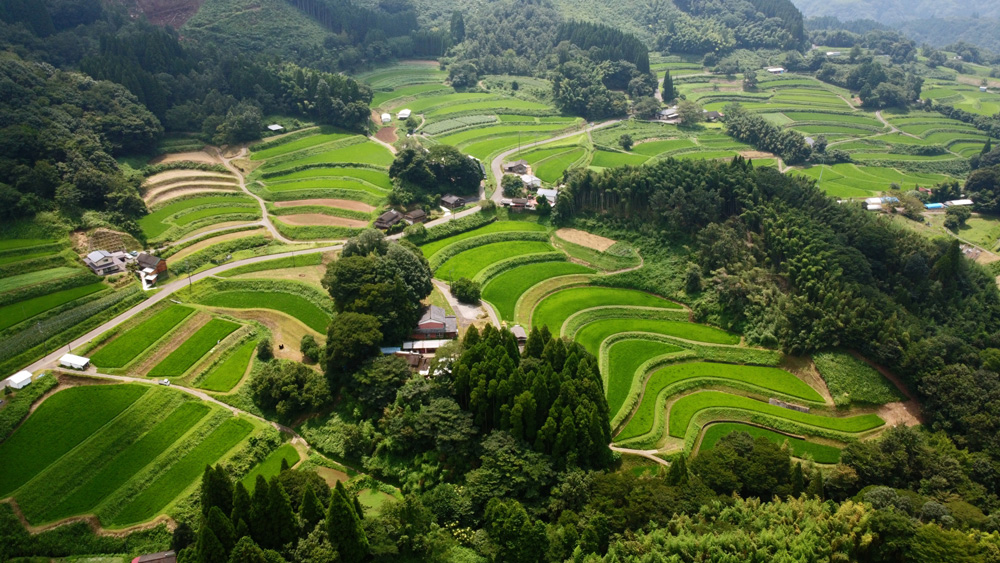 高千穂町_棚田の風景